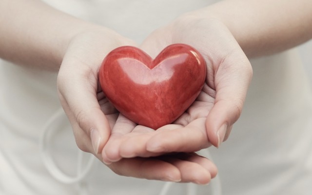 Health and wellness stocks that deliver prosperity and vitality