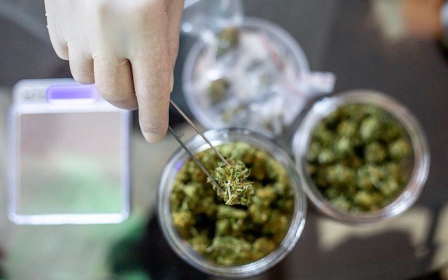 Health House Holdings to distribute Zelda Therapeutics’ medicinal cannabis throughout Australasia and UK