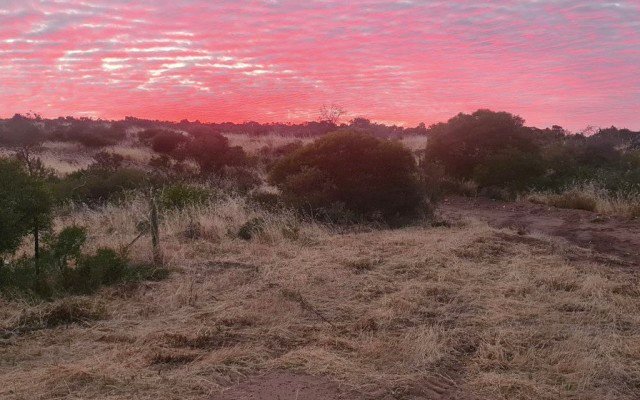 Heavy Minerals exceeds drilling expectations at Port Gregory garnet project