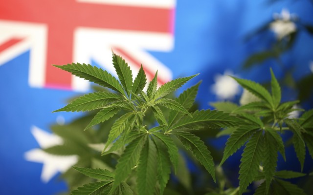 How to access medicinal cannabis in Australia