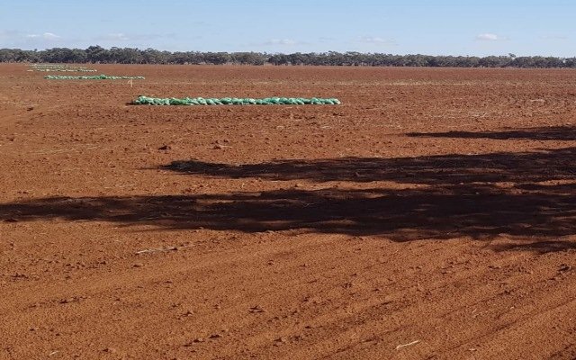 Hylea Metals reports ‘exceptional results’ from Tiger’s Creek polymetallic target