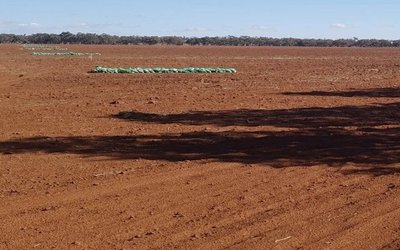 Hylea Metals reports ‘exceptional results’ from Tiger’s Creek polymetallic target