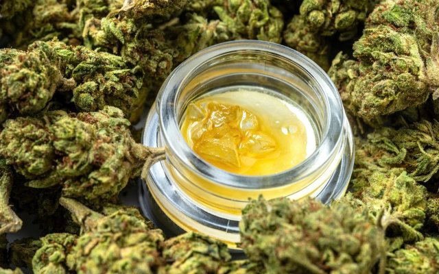 IDT Australia granted licence to manufacture medicinal cannabis products