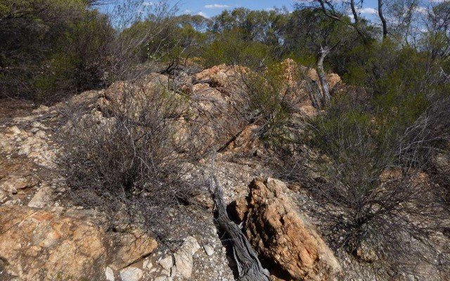 IGO to farm-into Venus Metals’ Henderson nickel and lithium project