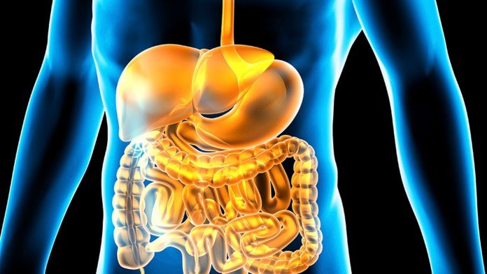 Immuron successfully completes first stage colitis preclinical program