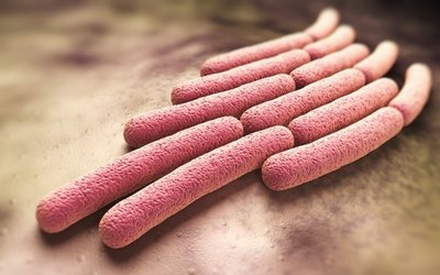 Immuron reports positive results from Travelan testing, develops anti-dysentery vaccine products