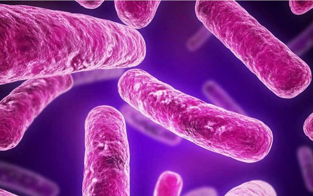 Immuron posts strong global sales growth for Travelan anti-diarrhoea product