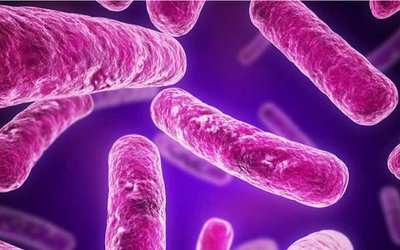 Immuron posts strong global sales growth for Travelan anti-diarrhoea product