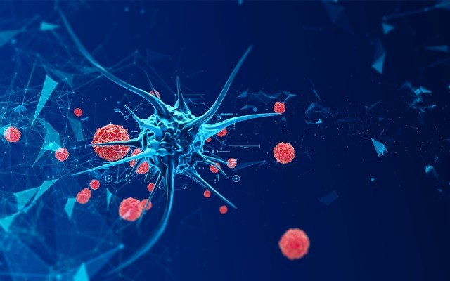 Immutep on track to develop novel solution to cancer and autoimmune diseases