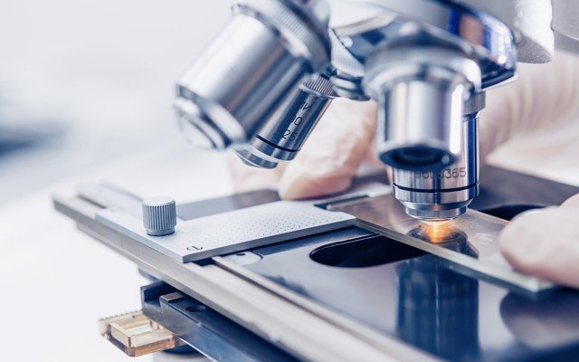 Immutep joins forces with Merck and Pfizer to advance immunotherapy treatment