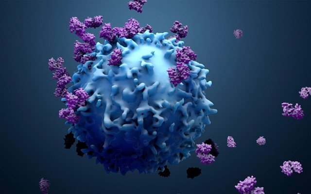 Immutep publishes interim results for two ongoing studies, scoops $3.6 million in R&D grant