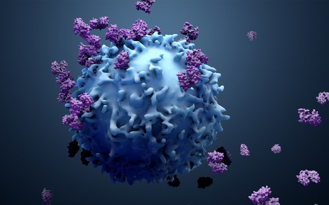 Immutep publishes interim results for two ongoing studies, scoops $3.6 million in R&D grant