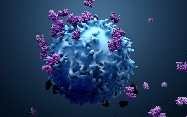 Immutep receives US patent for the use of LAG525 antibody in treating various cancers