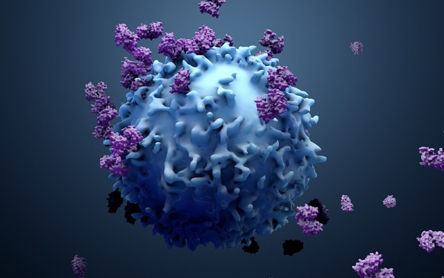 Immutep receives US patent for the use of LAG525 antibody in treating various cancers