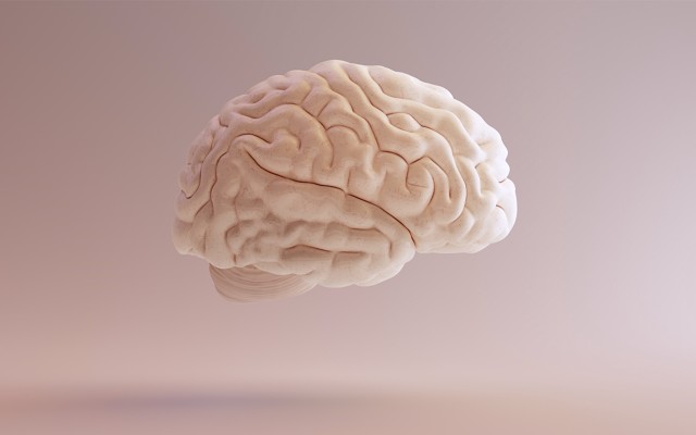 Impression Healthcare targets 2024 commercialisation of cannabinoid treatment for traumatic brain injury