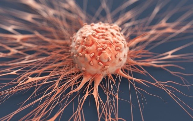 Imugene lifts bank balance with $12.6m rebate to progress immune-oncology therapies