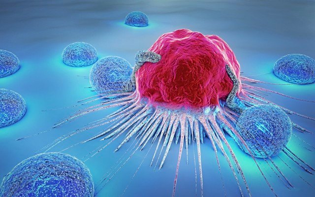 Imugene’s Phase 1b HER-Vaxx cancer trial meets endpoints, reports positive results