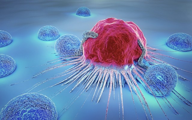 Imugene’s Phase 1b HER-Vaxx cancer trial meets endpoints, reports positive results