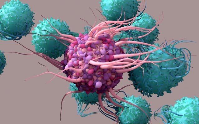 Imugene prepares cancer-killing virus for next phase of testing