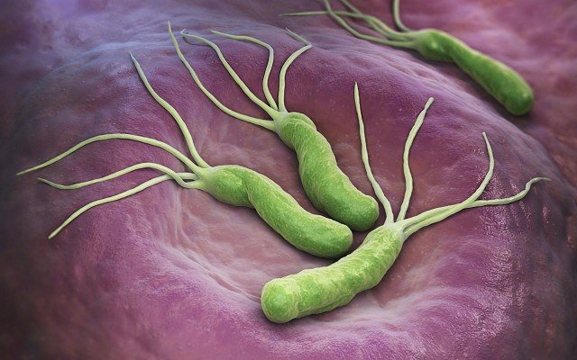 Imugene receives timely tax rebate to assist ongoing gastric cancer trials