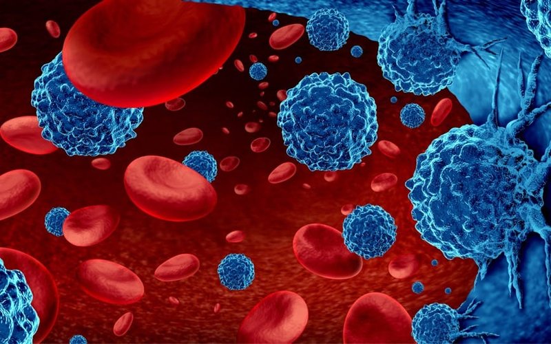 Imugene granted worldwide licence for CD19 cell therapy program to treat relapsed cancer patients