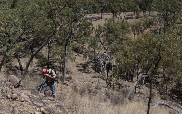 Inca Minerals uncovers bonanza grade copper, lead and silver at MaCauley Creek