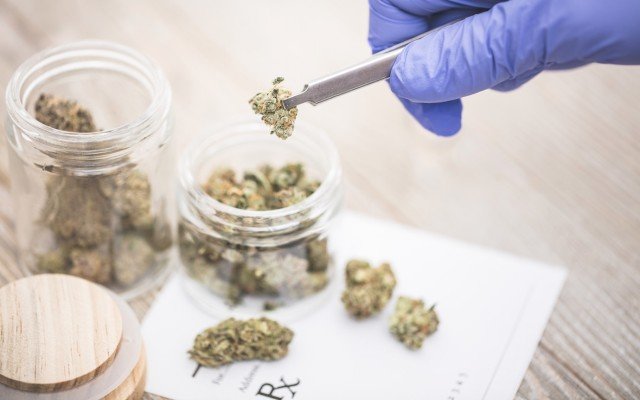 Incannex uses December quarter to pursue development of lead drugs for unmet medical needs