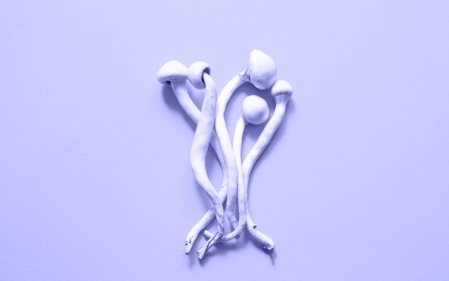 Incannex’s psychotherapy study delivers ‘significant’ benefits