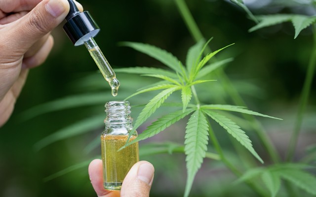 Incannex achieves record medicinal cannabis oil sales as pure play pharmaceutical company