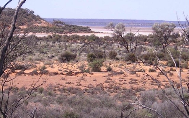 Infill sampling upgrades tenor of Spartan gold target for DiscovEx Resources and Gateway Mining