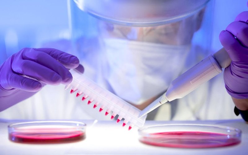 INOVIQ reports 88% kill rate of breast and lung cancer cells in CAR-exosome therapy study