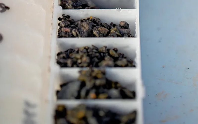 International Graphite’s Springdale project gains momentum with key mining lease for Mason Bay site