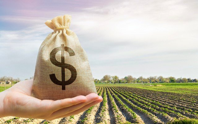 Investors back Wide Open Agriculture’s growth strategy in $8.5m equity raising