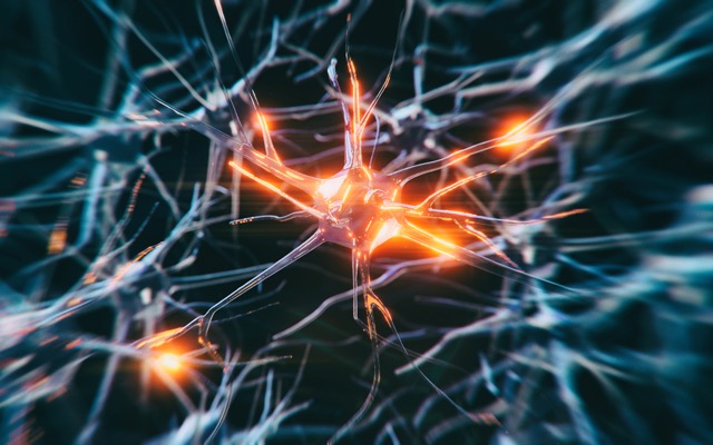 Invex Therapeutics receives tax rebate for neurological drug research