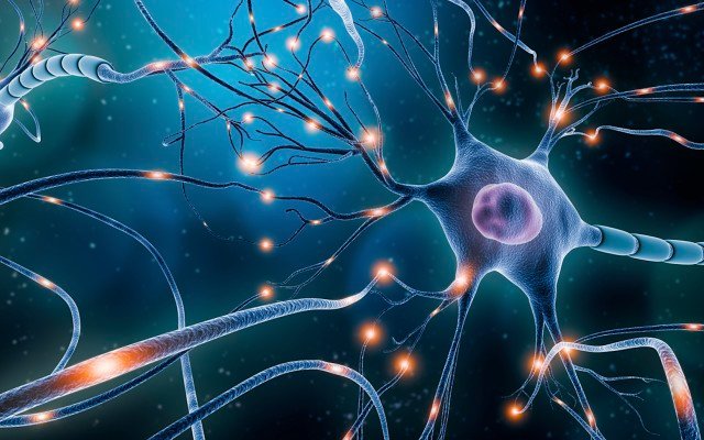 Invex Therapeutics reports busy quarter in Presendin development