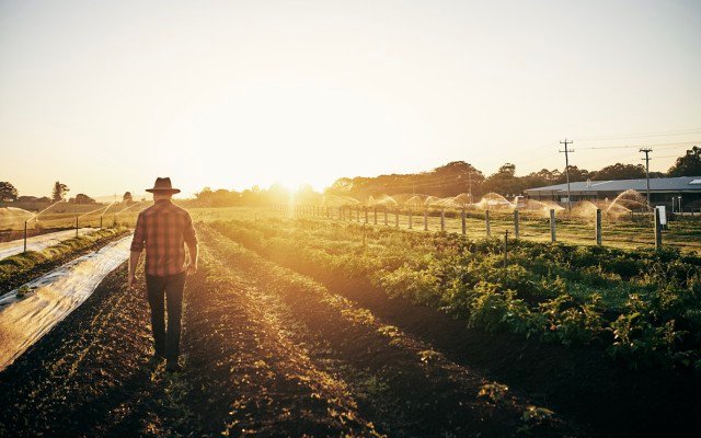 Invigor to expand Asian e-commerce presence through acquisition of Sun Asia Group