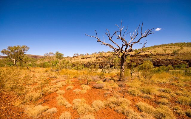 IRIS Metals gears up to drill gold projects shortly after ASX listing