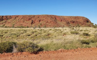 Iron ore juniors attracting local billionaires