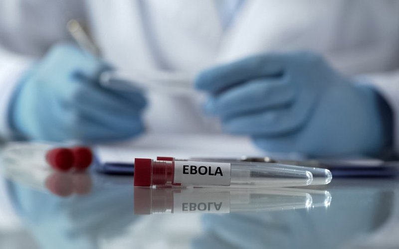 Island Pharmaceuticals acquires exclusive right to develop antiviral drug galidesivir