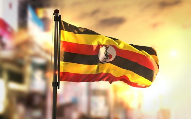 Jervois Mining advances exploration at Ugandan properties following M2 Cobalt merger