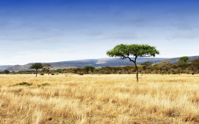 Jervois Mining in bid to win nickel-cobalt project in Tanzania