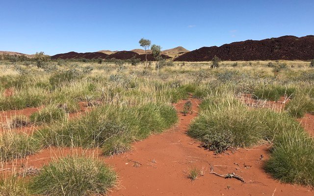 Kairos Minerals’ soil sampling reveals large gold anomalies at Pilbara project