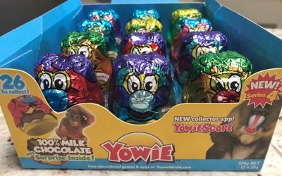 Keybridge makes takeover bid for struggling Yowie Group
