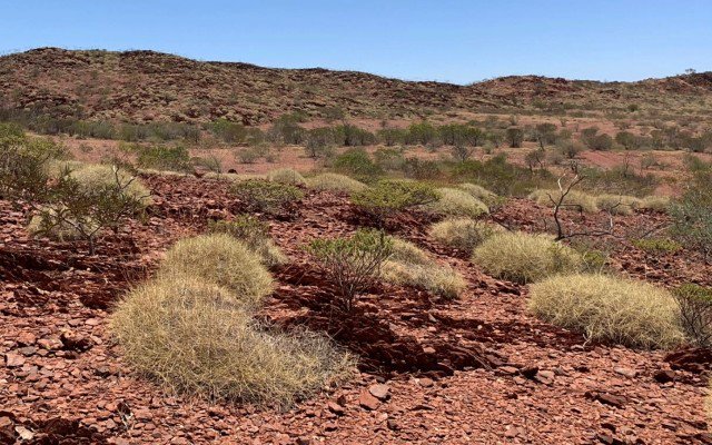 Kingfisher Mining to begin ASX trade following oversubscribed IPO