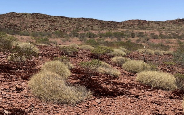 Kingfisher Mining to begin ASX trade following oversubscribed IPO