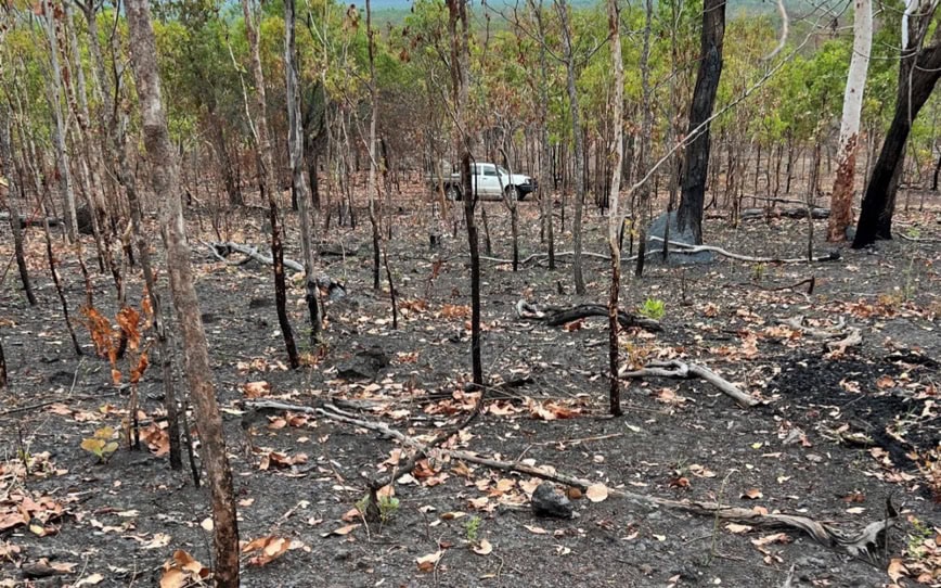 Kingsland Minerals achieves breakthrough graphite quality in testing at Leliyn project