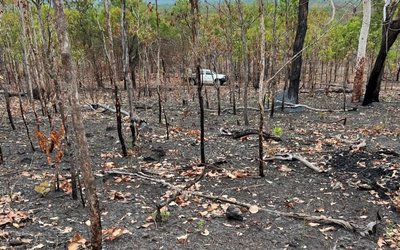 Kingsland Minerals achieves breakthrough graphite quality in testing at Leliyn project