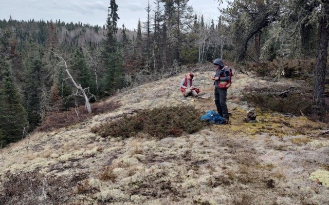 Koba Resources kicks off exploration at Whitlock lithium project in Canada