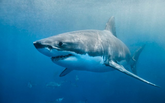 Largest ever order boosts Spectur’s forecast full-year revenue by 81%