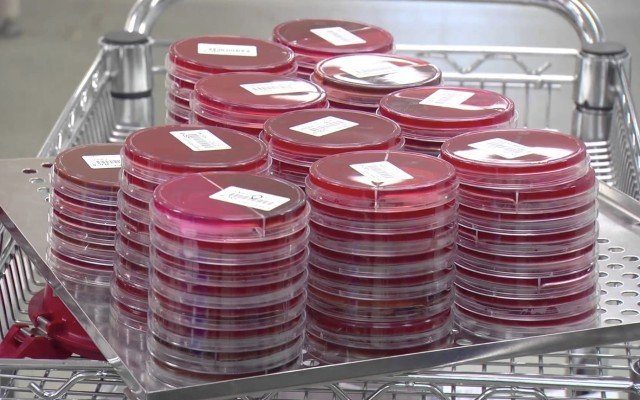 LBT Innovations completes first sale of APAS Independence